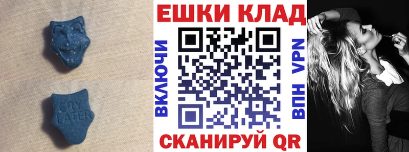 ЭКСТАЗИ 250 мг дарнет шоп Зеленогорск