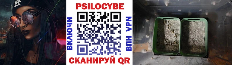 Псилоцибиновые грибы ЛСД  наркотики  OMG рабочий сайт  Зеленогорск 